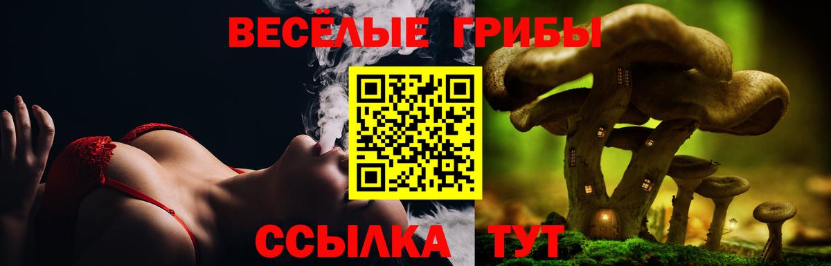 Псилоцибиновые грибы ЛСД  Вход с VPN  где купить наркоту  Стрежевой  Галлюциногенные грибы Magic Shrooms 